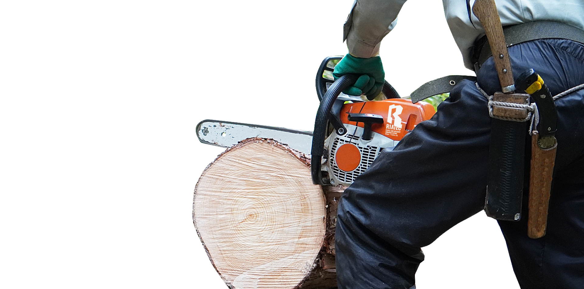 ワークスヘッドイメージ