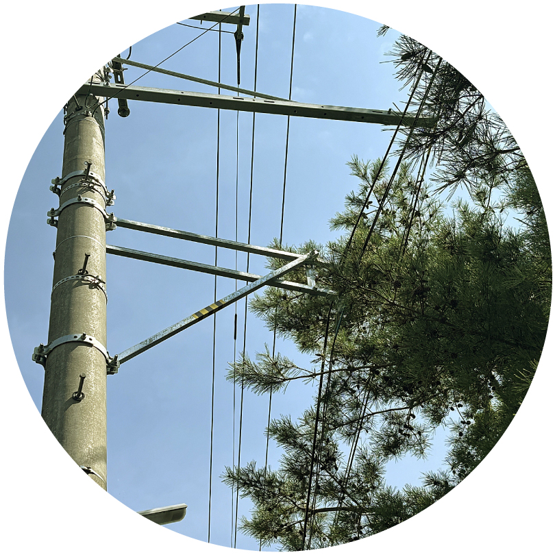 電線にかかった枝のイメージ