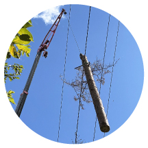 その他造園工事の料金のアイコン