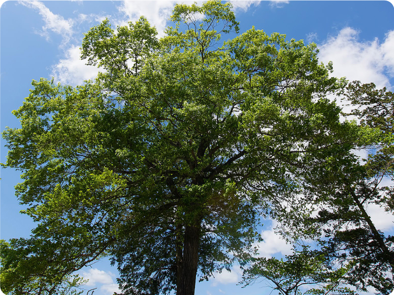 各種の事例イメージ01