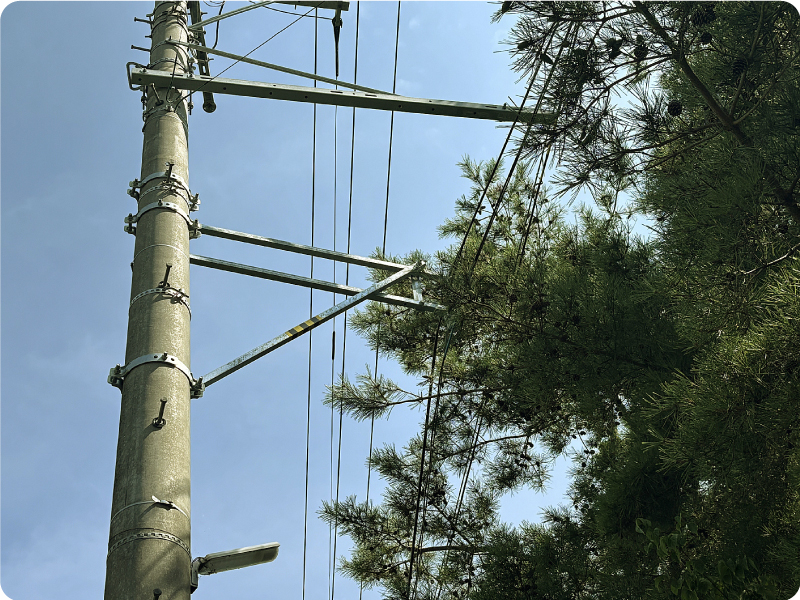 各種の事例イメージ01