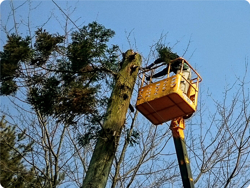 各種の事例イメージ01