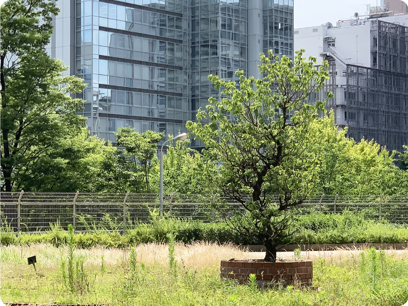 各種の事例イメージ01