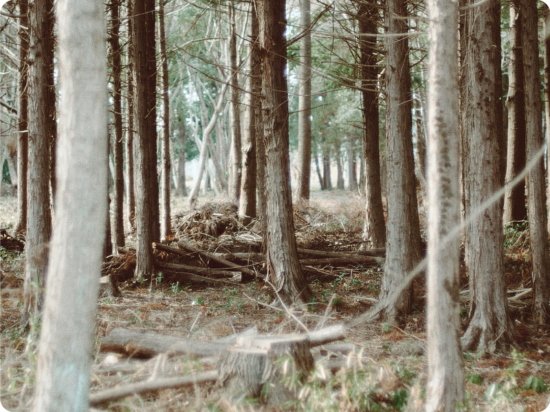 各種の事例イメージ01